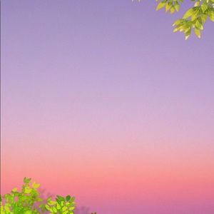 Meet your Posher, Mikeyy